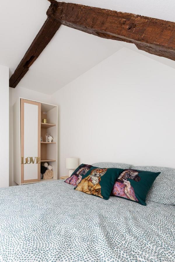 Petite France-Cathedrale, Duplex 100M2- 3 Chambres Strasbourg Luaran gambar