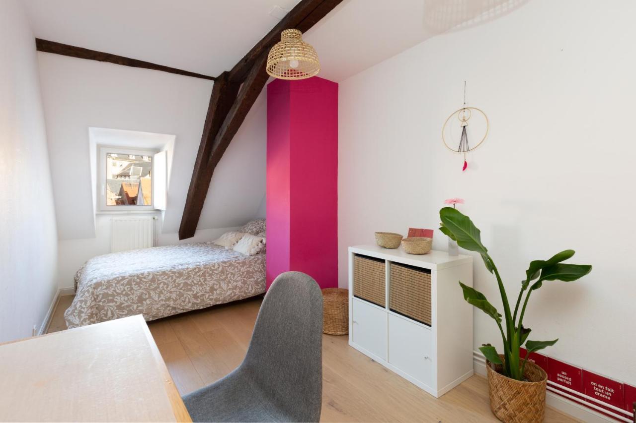 Petite France-Cathedrale, Duplex 100M2- 3 Chambres Strasbourg Luaran gambar